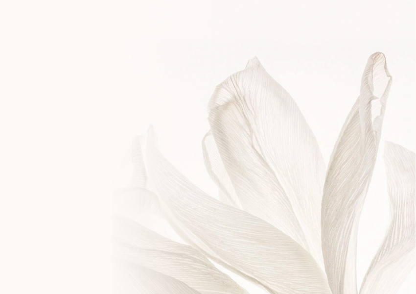 ชุดขวดน้ำหอม